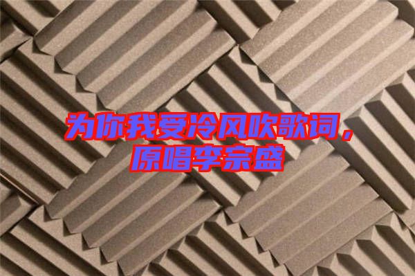 為你我受冷風(fēng)吹歌詞，原唱李宗盛