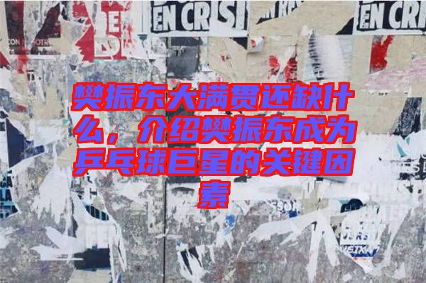 樊振東大滿貫還缺什么，介紹樊振東成為乒乓球巨星的關(guān)鍵因素