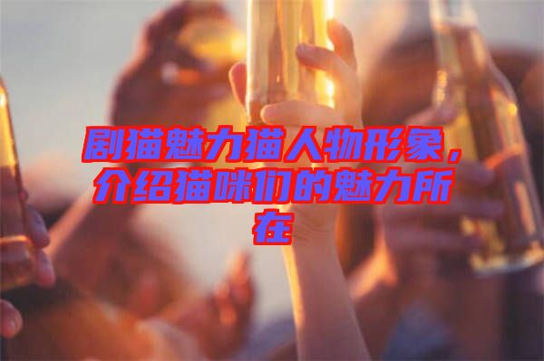 劇貓魅力貓人物形象，介紹貓咪們的魅力所在