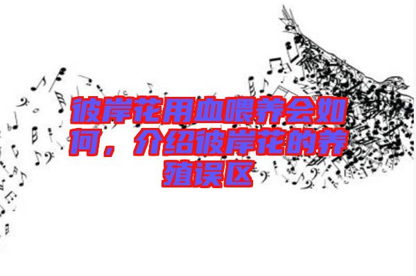 彼岸花用血喂養(yǎng)會(huì)如何，介紹彼岸花的養(yǎng)殖誤區(qū)