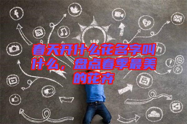 春天開什么花名字叫什么，盤點(diǎn)春季最美的花卉