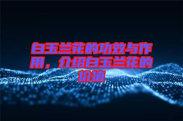白玉蘭花的功效與作用，介紹白玉蘭花的價(jià)值