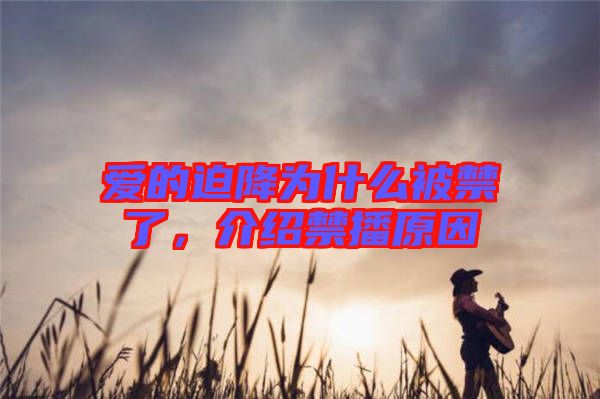 愛的迫降為什么被禁了，介紹禁播原因