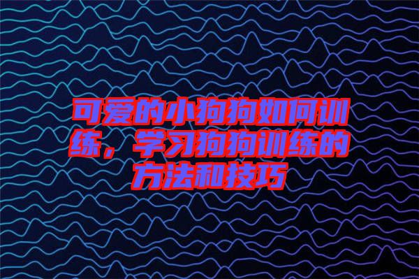 可愛的小狗狗如何訓(xùn)練，學(xué)習(xí)狗狗訓(xùn)練的方法和技巧