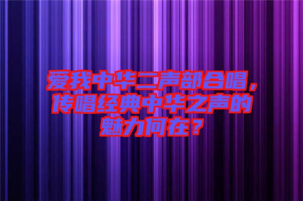 愛我中華二聲部合唱，傳唱經(jīng)典中華之聲的魅力何在？