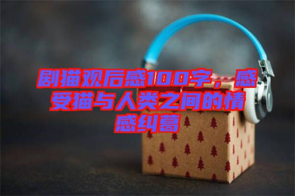 劇貓觀后感100字，感受貓與人類(lèi)之間的情感糾葛
