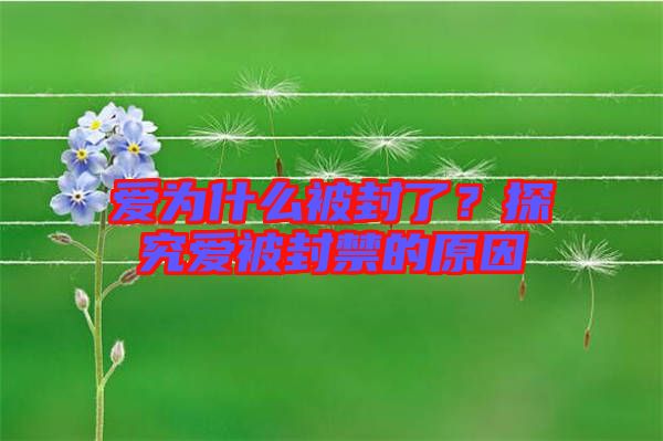 愛為什么被封了？探究愛被封禁的原因