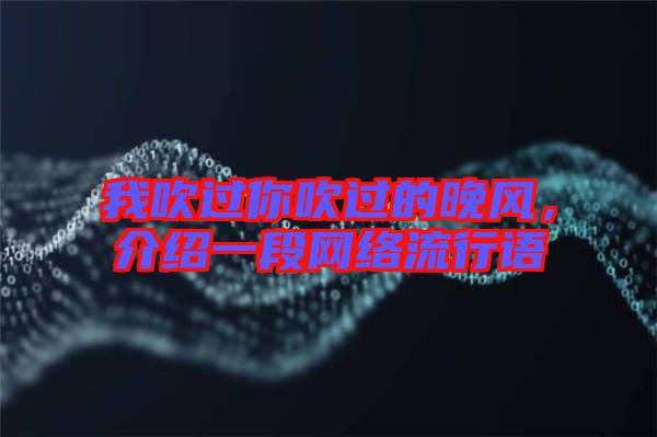 我吹過你吹過的晚風(fēng)，介紹一段網(wǎng)絡(luò)流行語