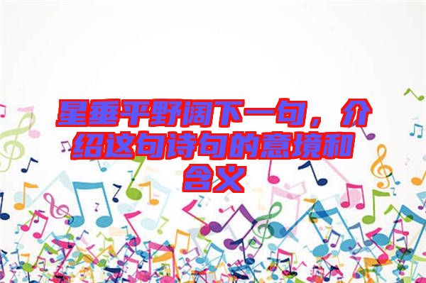 星垂平野闊下一句，介紹這句詩句的意境和含義