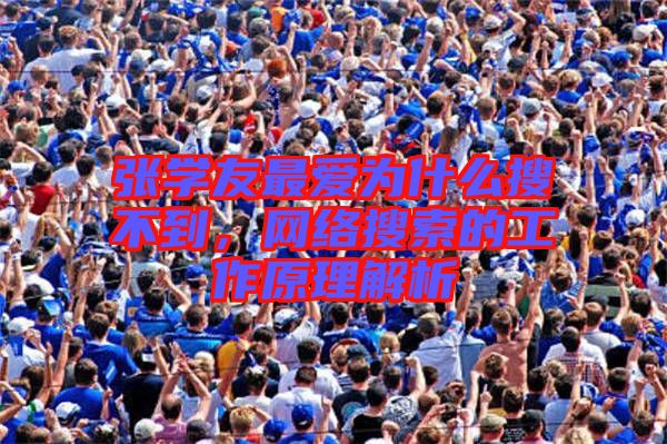 張學(xué)友最愛為什么搜不到，網(wǎng)絡(luò)搜索的工作原理解析