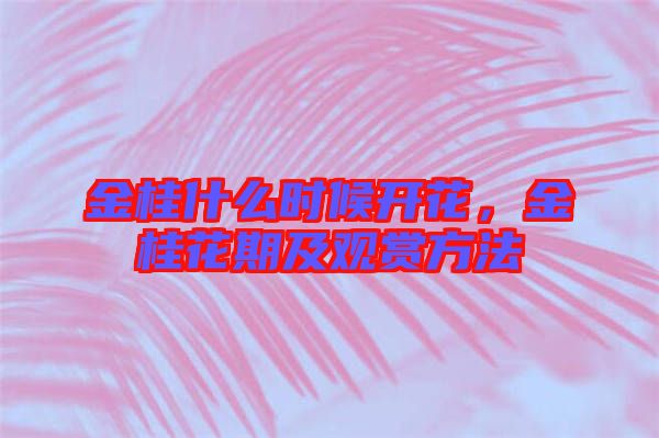 金桂什么時候開花，金桂花期及觀賞方法