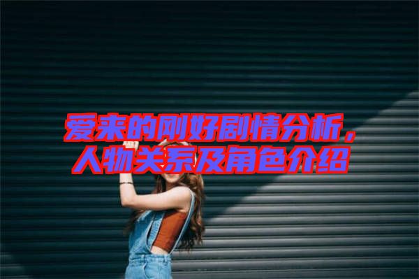愛來的剛好劇情分析，人物關系及角色介紹