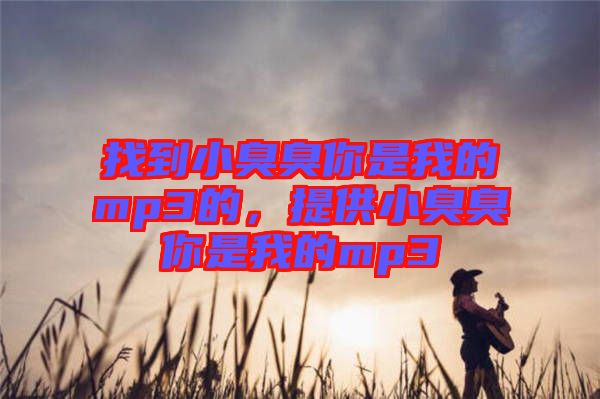 找到小臭臭你是我的mp3的，提供小臭臭你是我的mp3