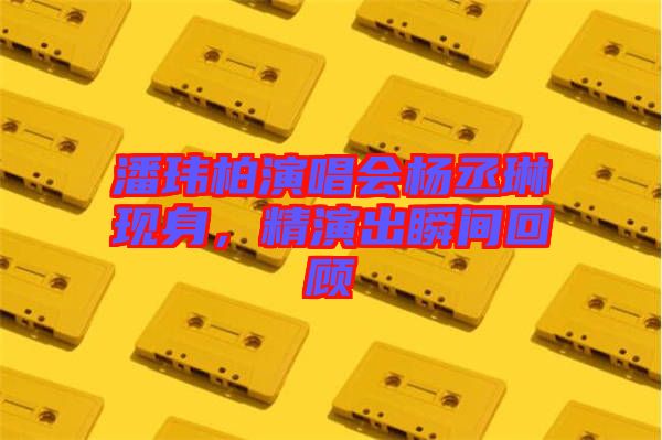 潘瑋柏演唱會(huì)楊丞琳現(xiàn)身，精演出瞬間回顧