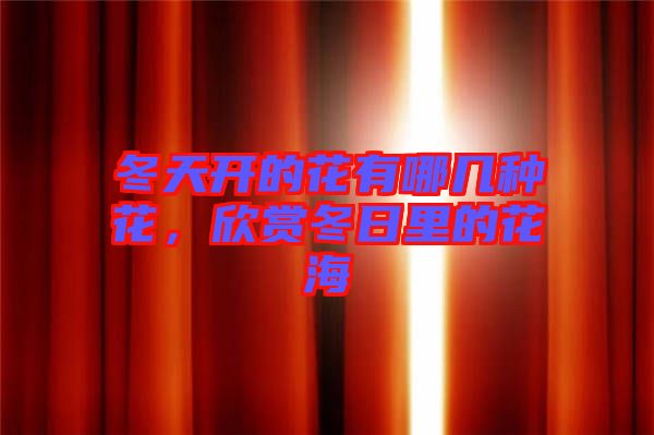 冬天開的花有哪幾種花，欣賞冬日里的花海