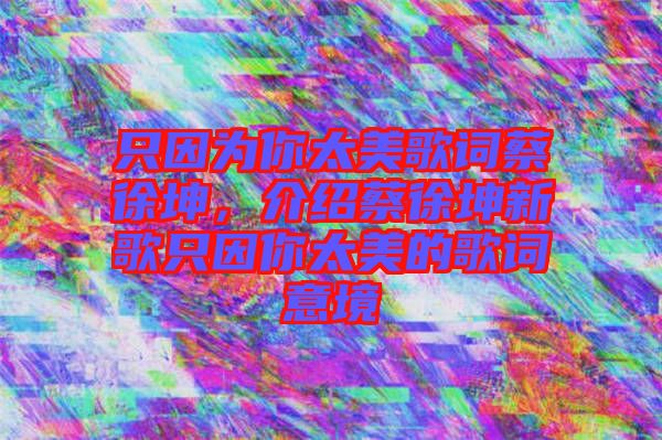 只因為你太美歌詞蔡徐坤，介紹蔡徐坤新歌只因你太美的歌詞意境