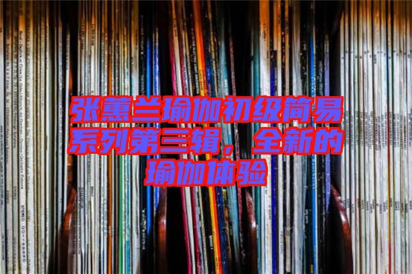 張蕙蘭瑜伽初級簡易系列第三輯，全新的瑜伽體驗