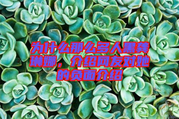 為什么那么多人黑龔琳娜，介紹網(wǎng)友對(duì)她的負(fù)面介紹