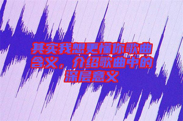 其實(shí)我想更懂你歌曲含義，介紹歌曲中的深層意義