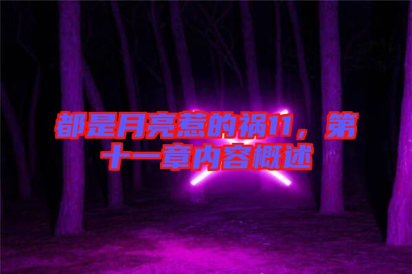 都是月亮惹的禍11，第十一章內(nèi)容概述