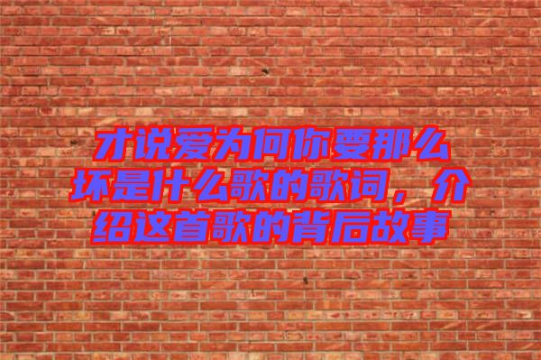 才說愛為何你要那么壞是什么歌的歌詞，介紹這首歌的背后故事