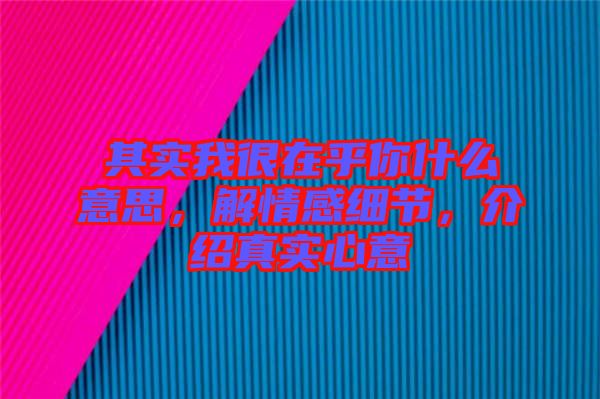 其實(shí)我很在乎你什么意思，解情感細(xì)節(jié)，介紹真實(shí)心意