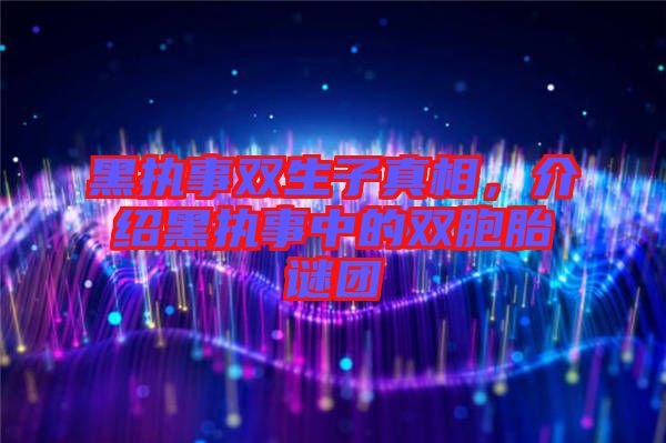 黑執(zhí)事雙生子真相，介紹黑執(zhí)事中的雙胞胎謎團
