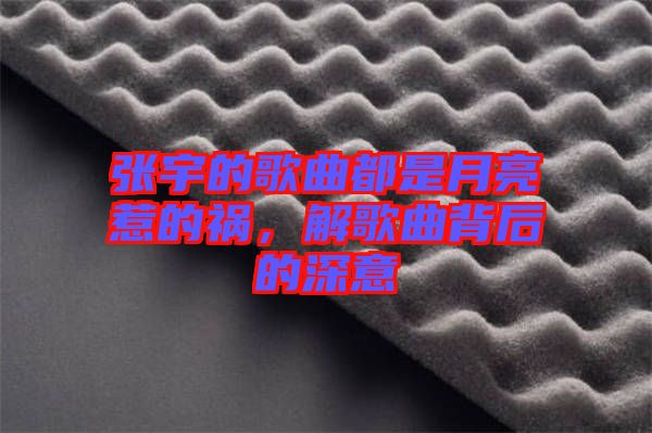 張宇的歌曲都是月亮惹的禍，解歌曲背后的深意