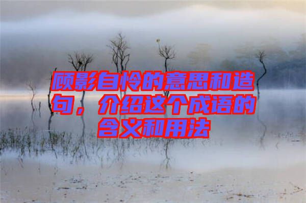 顧影自憐的意思和造句，介紹這個(gè)成語的含義和用法