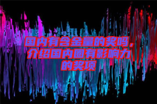 國內(nèi)有含金量的獎嗎，介紹國內(nèi)圈有影響力的獎項