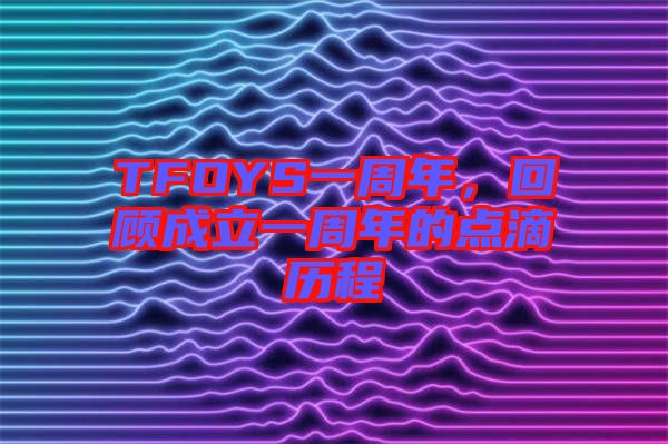 TFOYS一周年，回顧成立一周年的點滴歷程