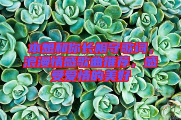 本想和你長相守歌詞，浪漫情感歌曲推薦，感受愛情的美好