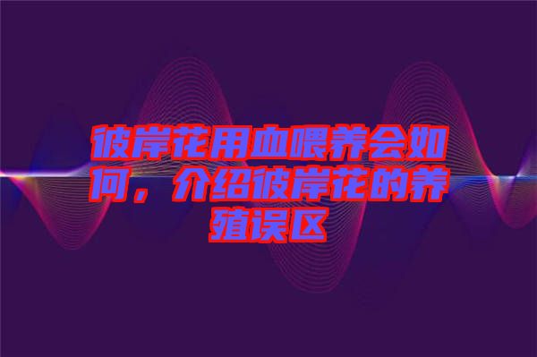 彼岸花用血喂養(yǎng)會如何，介紹彼岸花的養(yǎng)殖誤區(qū)