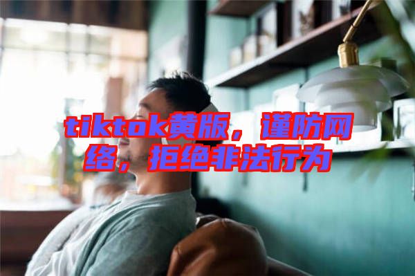 tiktok黃版，謹防網(wǎng)絡(luò)，拒絕非法行為