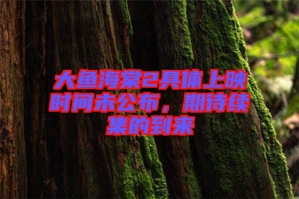 大魚海棠2具體上映時(shí)間未公布，期待續(xù)集的到來(lái)
