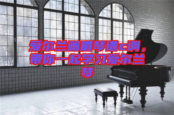 愛爾蘭畫眉琴譜c調(diào)，帶你一起學(xué)習(xí)愛爾蘭琴