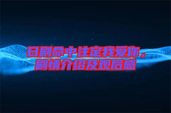 日劇命中注定我愛你，劇情介紹及觀后感