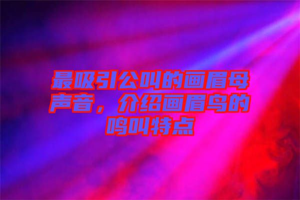 最吸引公叫的畫眉母聲音，介紹畫眉鳥的鳴叫特點