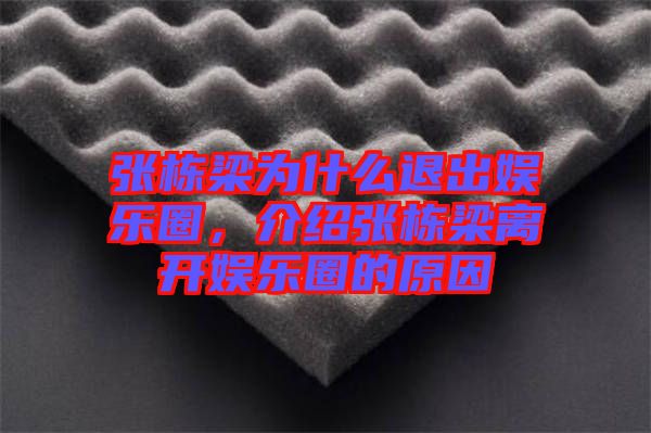 張棟梁為什么退出娛樂(lè)圈，介紹張棟梁離開(kāi)娛樂(lè)圈的原因