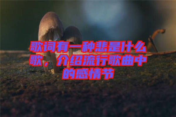 歌詞有一種悲是什么歌，介紹流行歌曲中的感情節(jié)