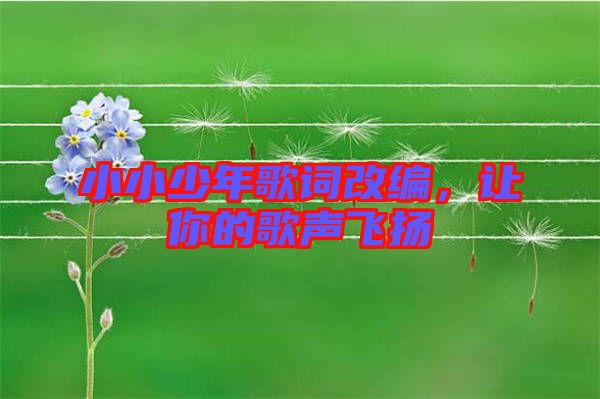 小小少年歌詞改編，讓你的歌聲飛揚(yáng)