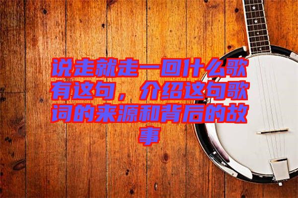 說(shuō)走就走一回什么歌有這句，介紹這句歌詞的來(lái)源和背后的故事