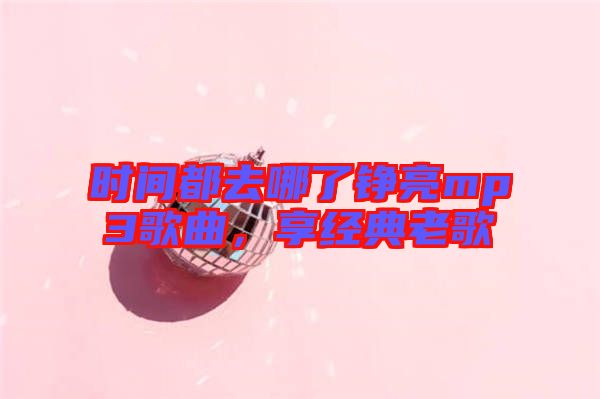 時(shí)間都去哪了錚亮mp3歌曲，享經(jīng)典老歌