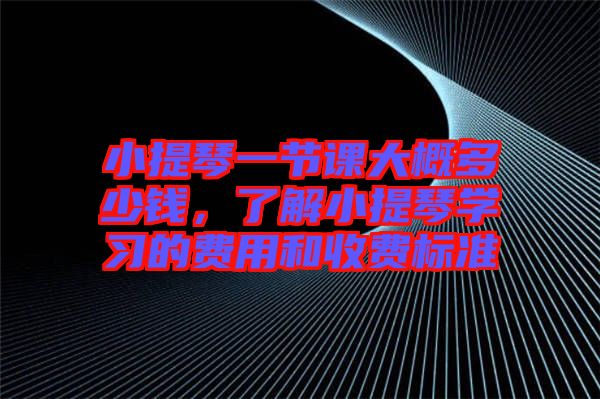 小提琴一節(jié)課大概多少錢，了解小提琴學習的費用和收費標準