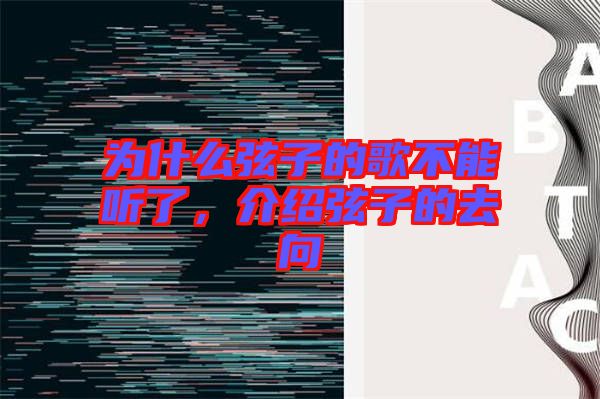 為什么弦子的歌不能聽了，介紹弦子的去向