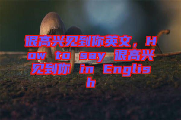 很高興見到你英文，How to say 很高興見到你 in English