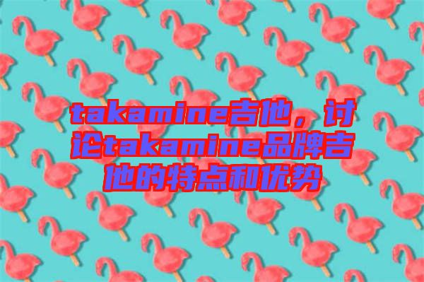 takamine吉他，討論takamine品牌吉他的特點和優(yōu)勢