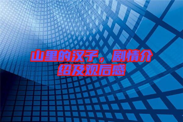 山里的漢子，劇情介紹及觀后感