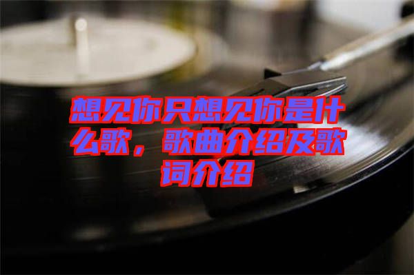 想見你只想見你是什么歌，歌曲介紹及歌詞介紹
