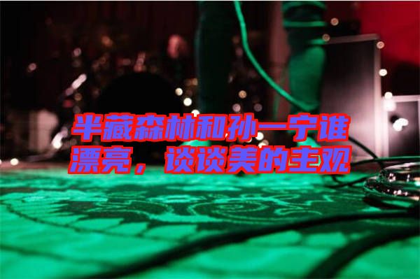 半藏森林和孫一寧誰漂亮，談?wù)劽赖闹饔^